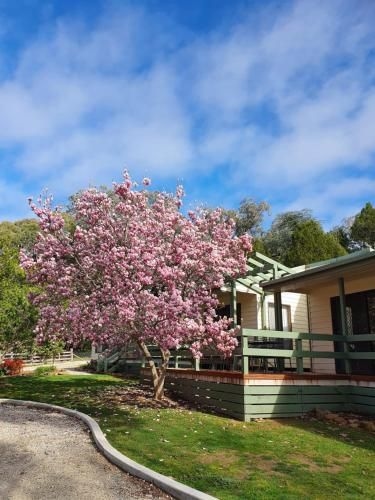 Annies Holiday Units0