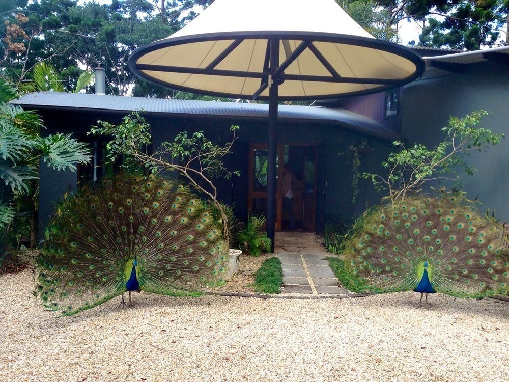 Azabu Guesthouse Byron Bay1