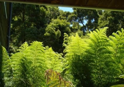 Riverbank Three-Bedroom Cottage - Split Level