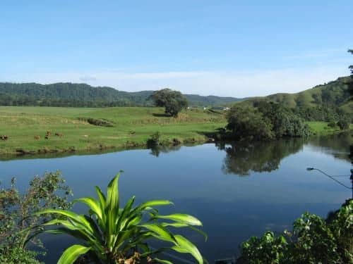 Daintree Riverview Lodges Daintree Riverview Lodges