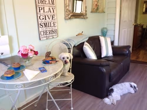 Queen Suite
