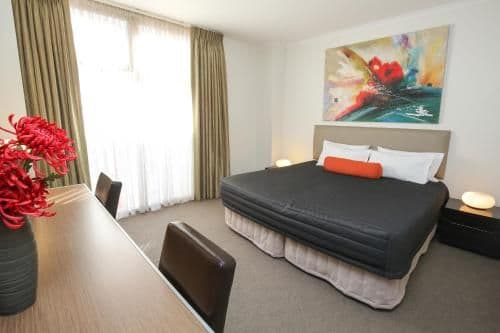 Deluxe One-Bedroom Apartment
