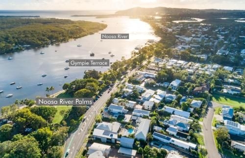 Noosa River Palms0