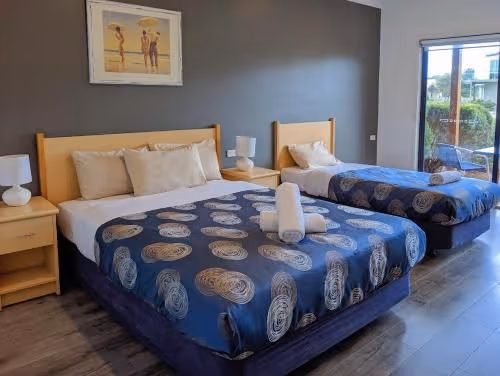 Deluxe Twin Room with Patio