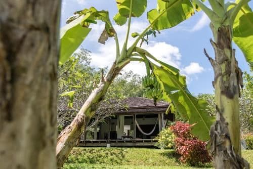 Champa Villa