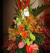 Tulip Inn Al Reef Tulip Inn Al Reef