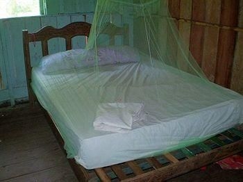 Manaus Jungle Hostel2
