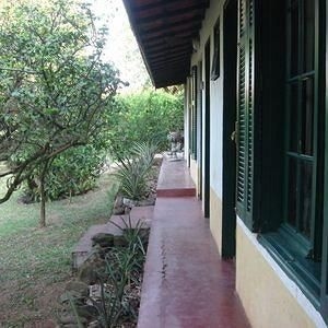 Bed & Breakfast Vista Alegre4