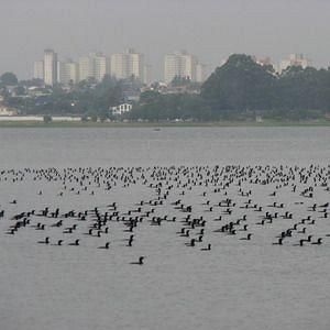 Bed & Breakfast Vista Alegre3