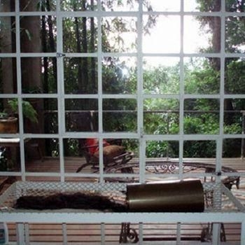 Bed & Breakfast Vitoria Regia0