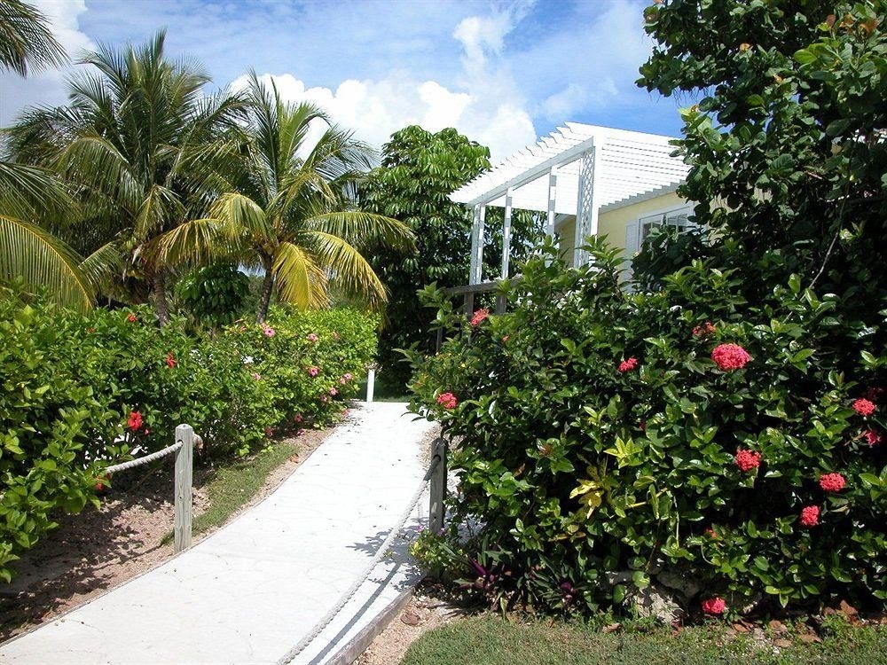 Green Turtle Club Resort & Marina3