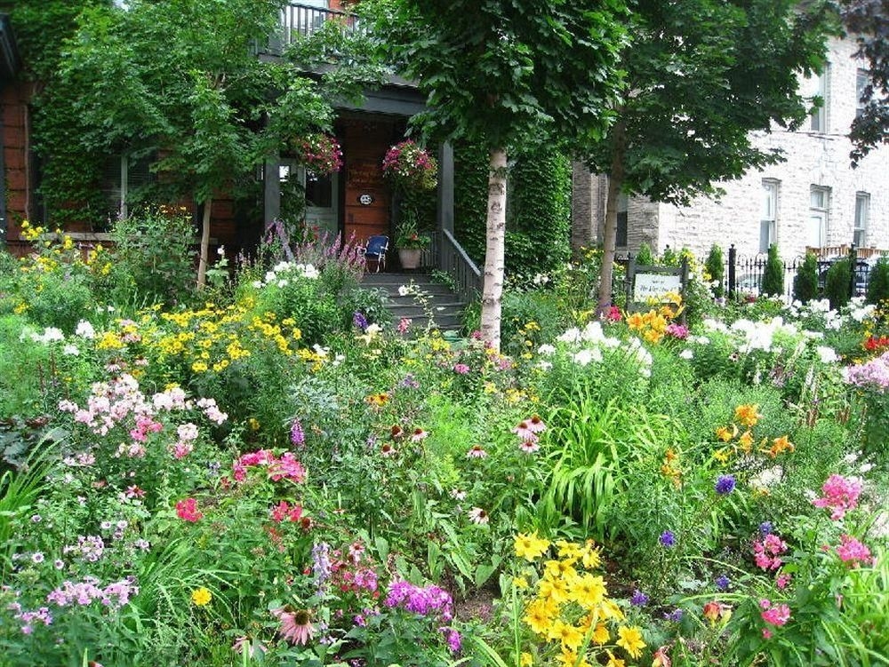 Auberge King Edward Bed and Breakfast0