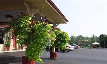 Maplehaven Motel4