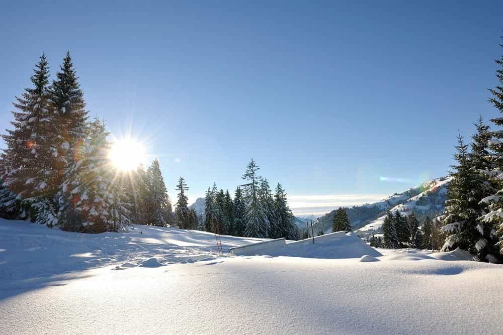 Saanewald Lodge Saanewald Lodge