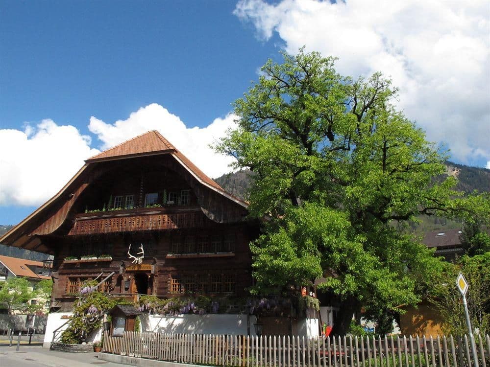 Hirschen Hirschen