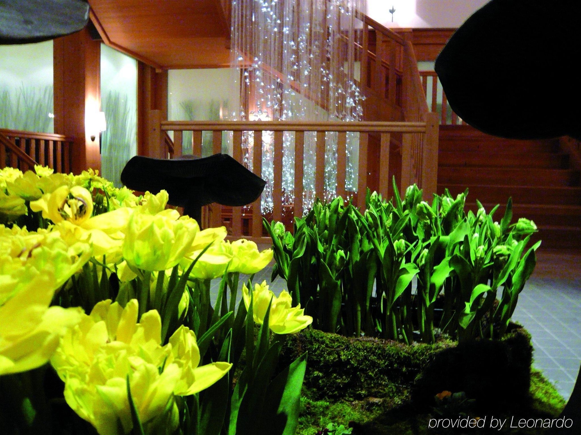 Chalet Royalp4
