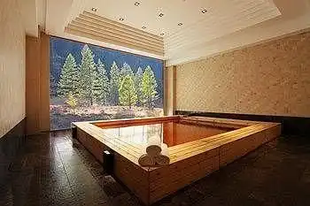 Changbaishan Tianyu Resort Hotel Changbaishan Tianyu Resort Hotel