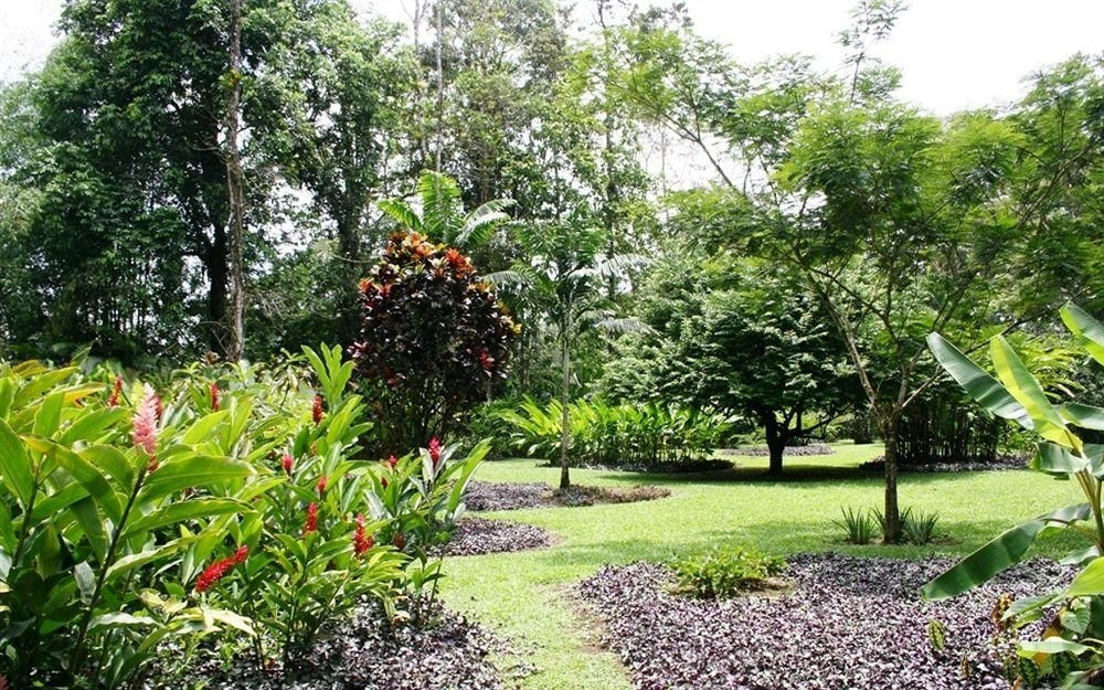 Heliconia Island1