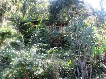 Tabulia Tree Hotel and Villas2