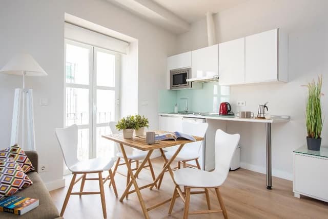 APARTMENT SUPERIOR CAPACITY 2