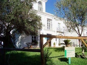 Toruno del Rocio Toruno del Rocio