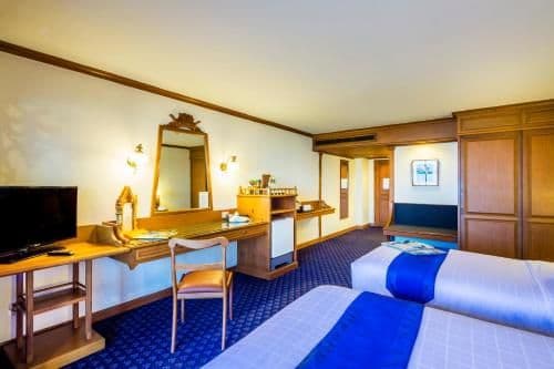 Deluxe Double or Twin Room