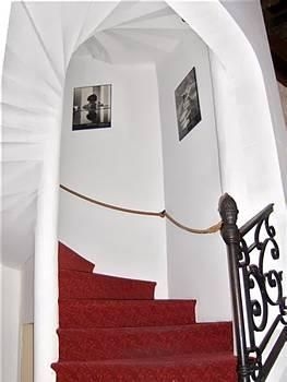 Hotel d' Arlatan1