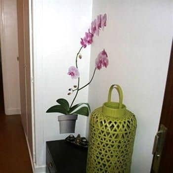 Vacation Rental Acacias Vacation Rental Acacias