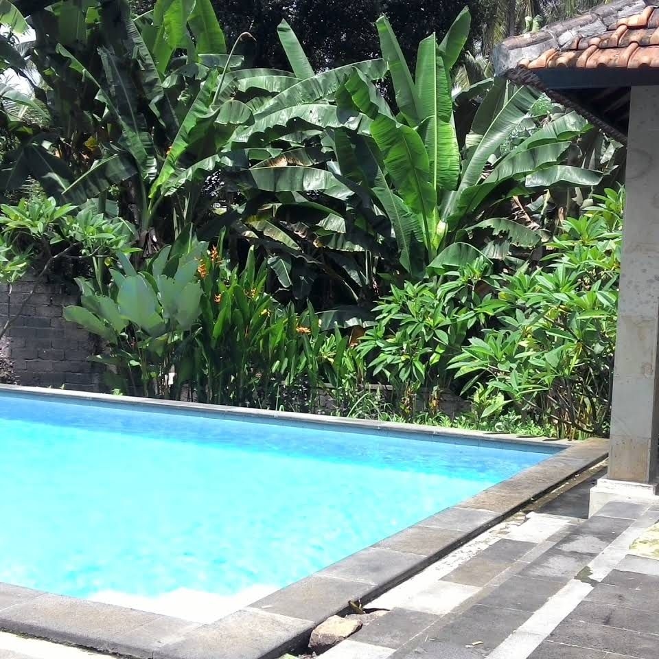 Lovina Villa Cinta2