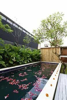 The Grove Villa Bumbak The Grove Villa Bumbak