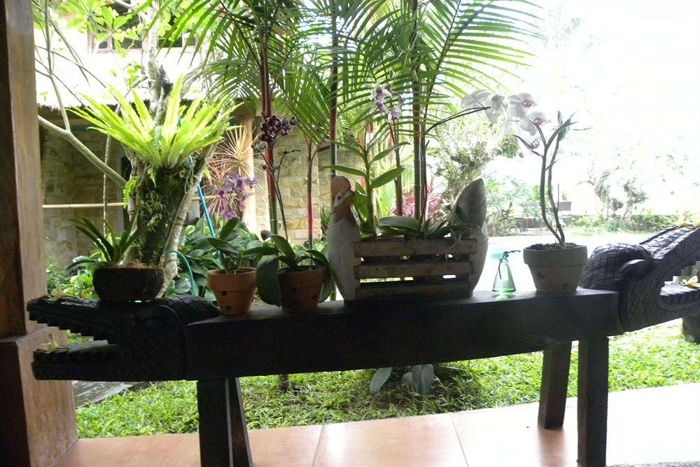 Saudara Home2