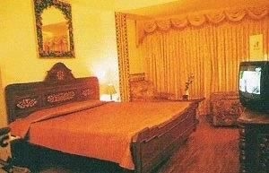 Hotel Ashiana Regency3