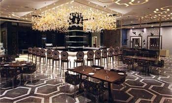 The Hotel Hindusthan International The Hotel Hindusthan International
