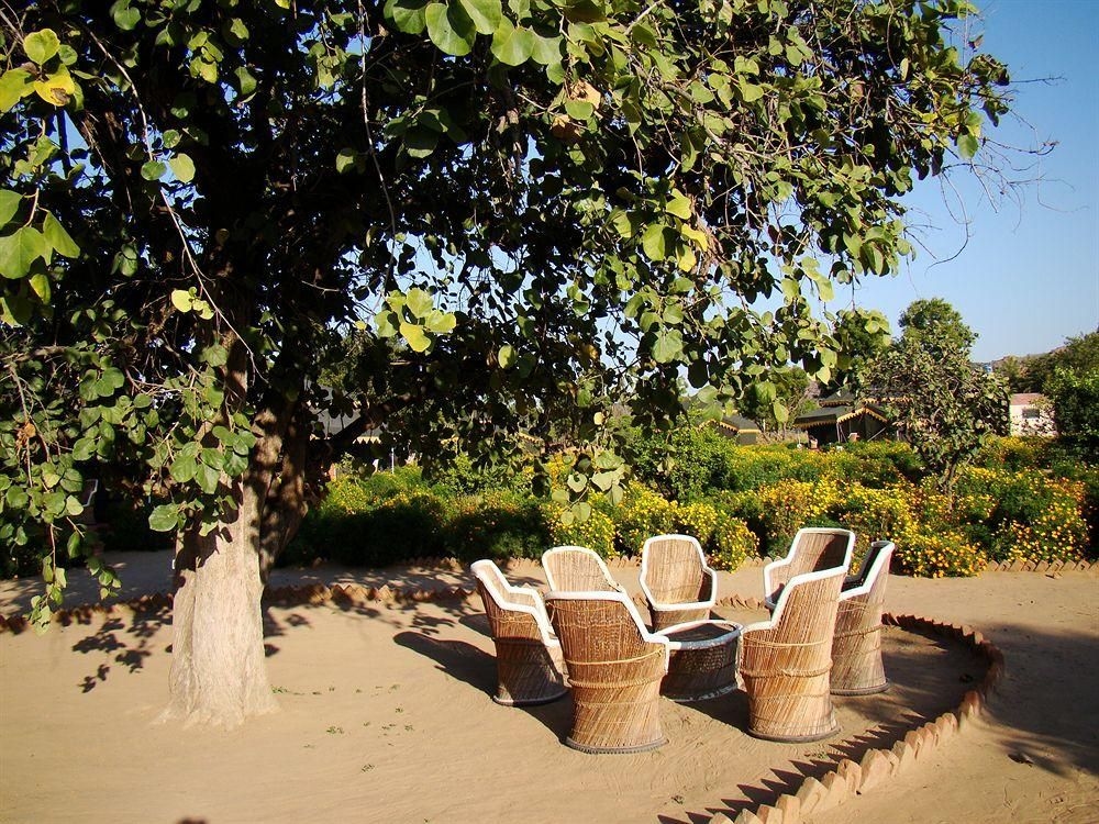 Orchard4