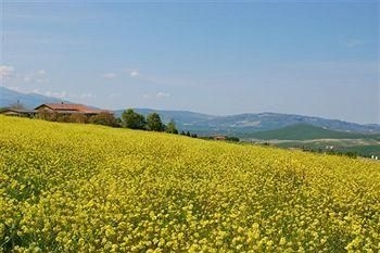 Azienda Agricola Barbi2
