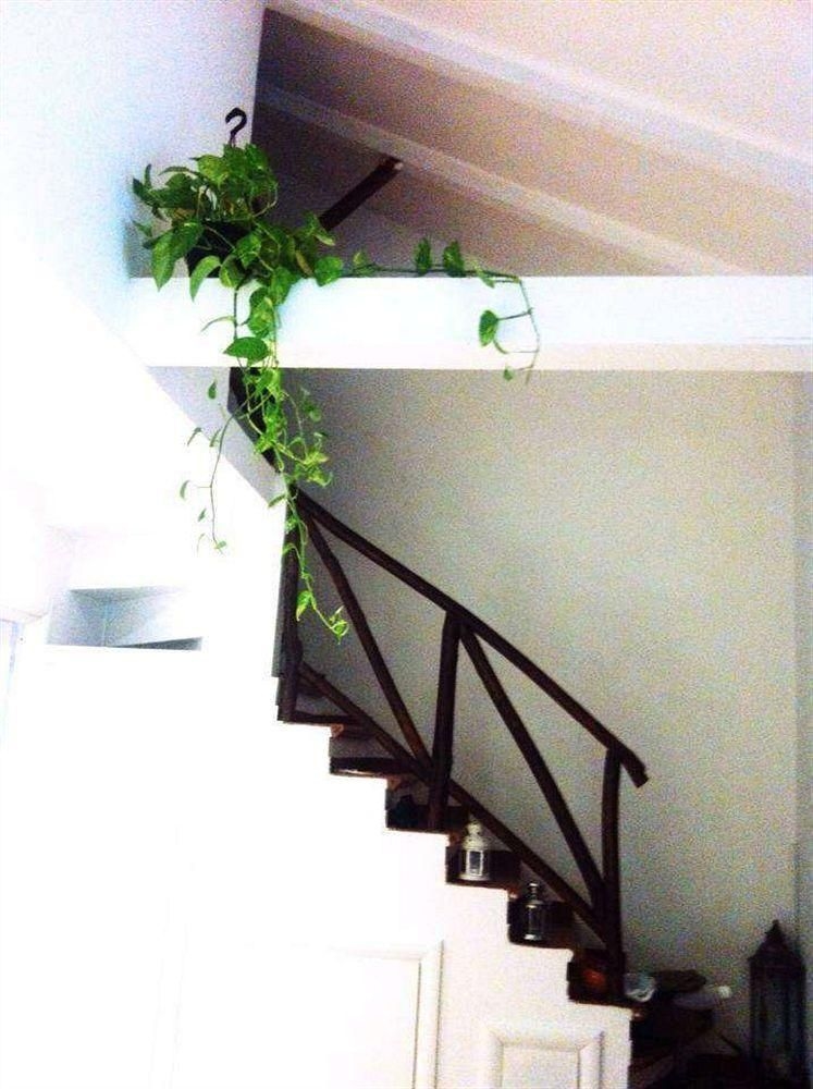 Borgo al Vaticano Bed & Breakfast0