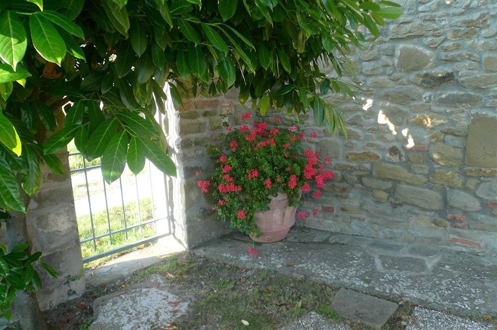 Agriturismo Il Gelso3