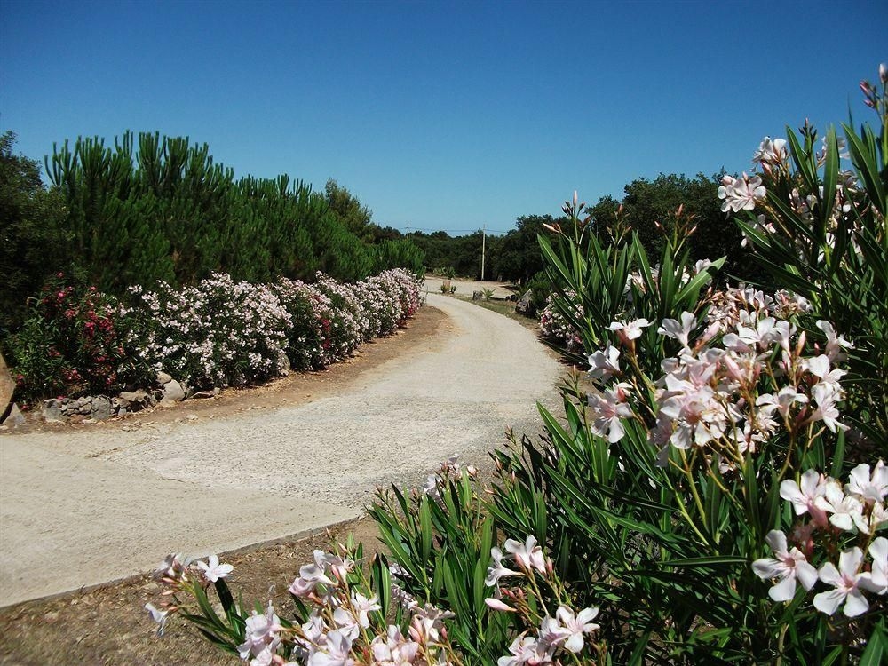 Rocce Bianche di Roberto Cavalli2