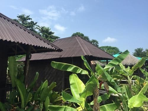 Standard Bungalow with Fan