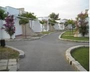 Nyce Club Sunbeach0