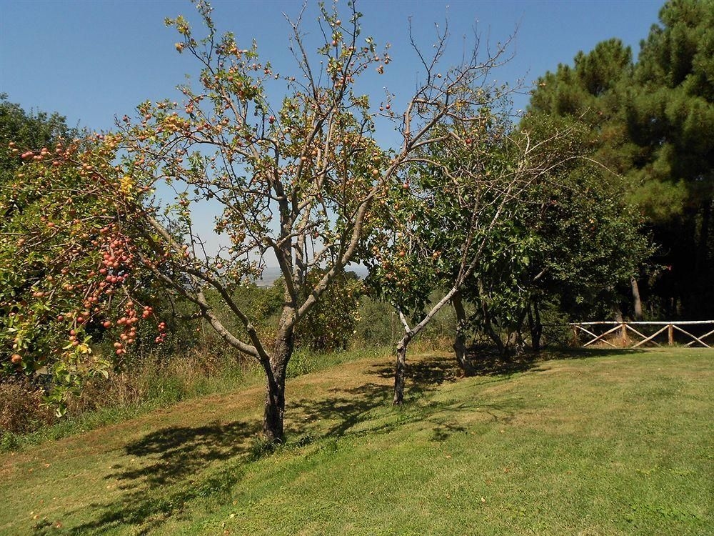 Country House La Meridiana Strana2