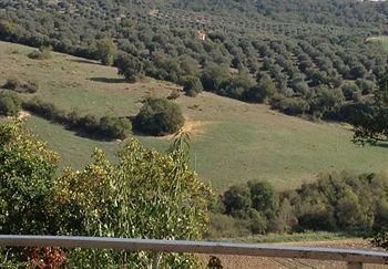 Le Tartarughe B&B1