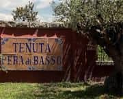 Pera Di Basso Pera Di Basso