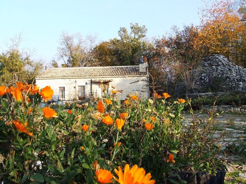 Country House Case Catalano4