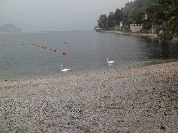 Le Ortensie Due - Bed and Breakfast3