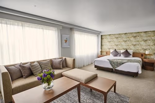 Luxury Suite - Non-Smoking