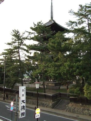 Ryokan Daibutsukan Ryokan Daibutsukan