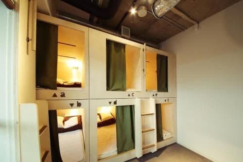 Bunk Bed in Female Dormitory Room
