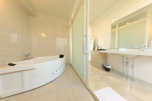 Premium Suite with Balcony for Single Use