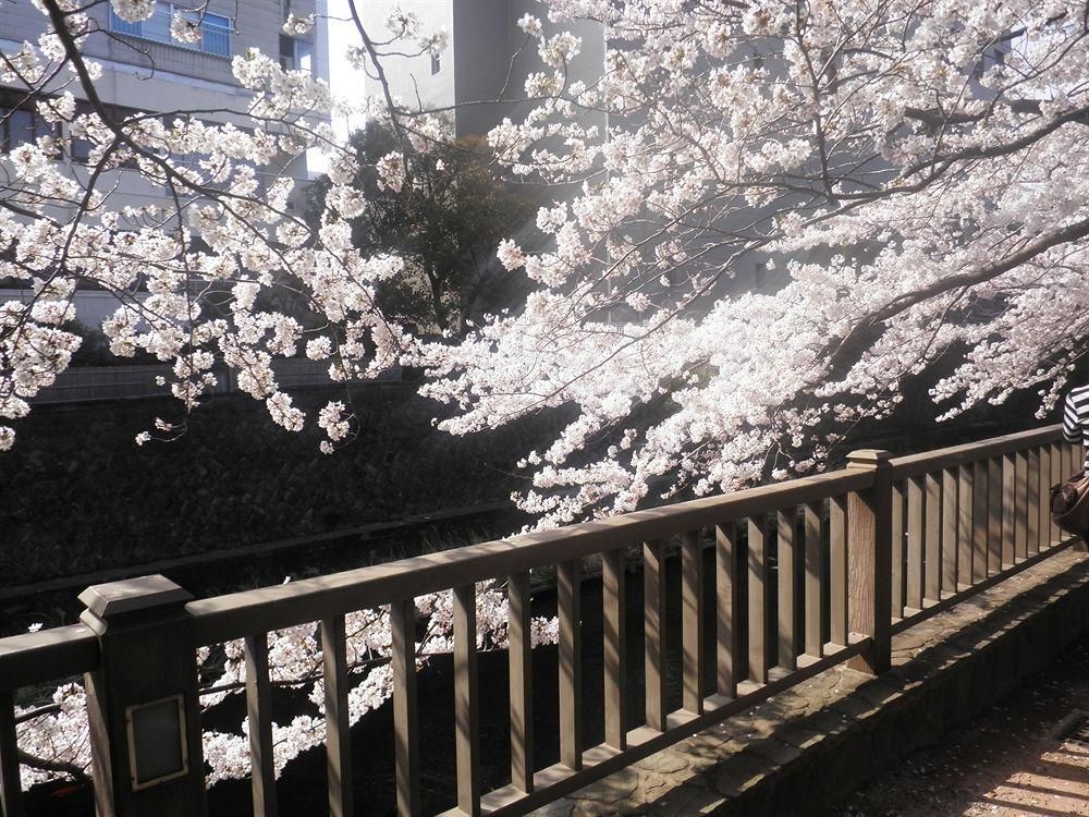 Hotel Ryokufuen3